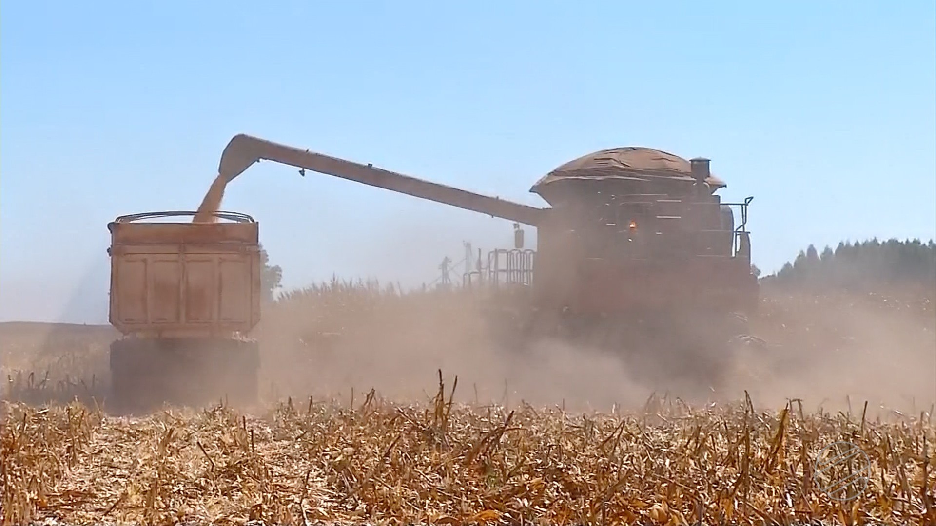Produção de etanol a partir do milho deve ser 13% maior nesta safra