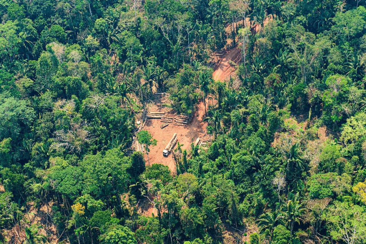 MT tem o maior índice de degradação entre os estados da Amazônia Legal