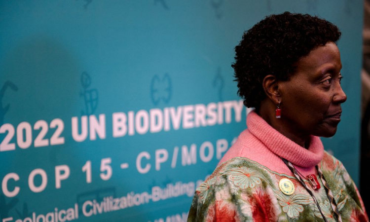 À frente das negociações, Elizabeth Maruma Mrema é a secretária executiva da Convenção das Nações Unidas sobre Diversidade Biológica