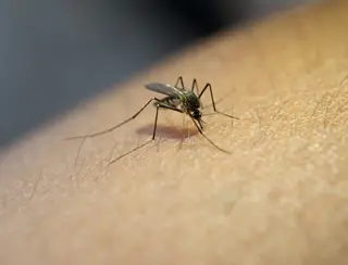 Secretaria de Saúde de Cuiabá alerta para riscos de dengue no período chuvoso