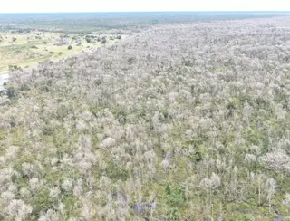 Operação Cordilheira sequestra propriedades e aplica multa de R$ 2,8 bilhões por desmate químico no Pantanal
