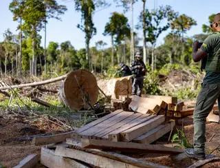 Sema apreende madeira, veículos e equipamentos em operação de combate à pesca e desmatamento ilegal