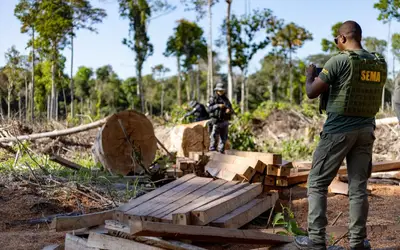 Sema apreende madeira, veículos e equipamentos em operação de combate à pesca e desmatamento ilegal